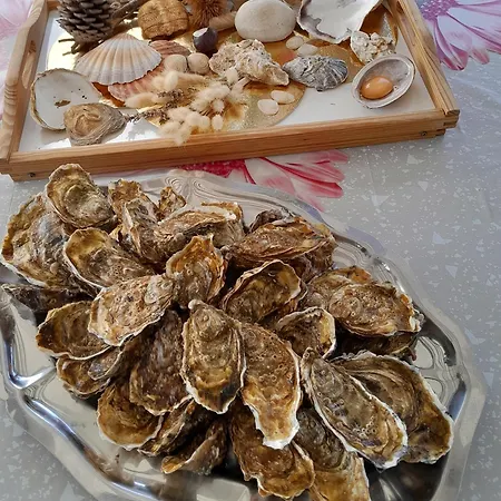 Kemping Mobil-home 468 *