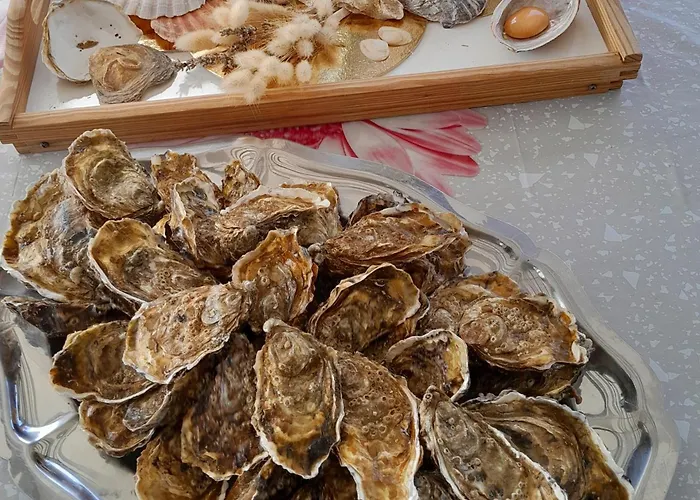 Kemping Mobil-home 468 *